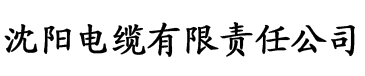 安妮影视电缆厂logo